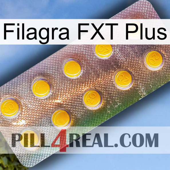 Filagra FXT Plus new11.jpg